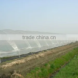 RoughBrothers Tunnel-600 Single Span Low Cost Tunnel Greenhouse thumbnail-1