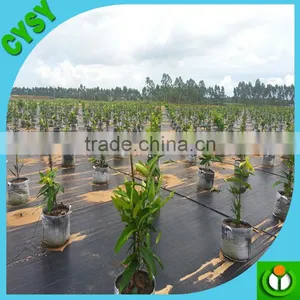 100% PP Woven Agriculture Ground Cover/Mulch Film/Weed Mat thumbnail-6