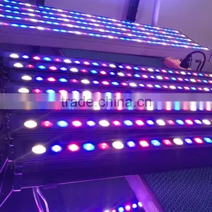 Led Lighting in Agriculture Led Grow Light Hydroponic Full Spectrum Led Grow Light Bar Waterproof thumbnail-1