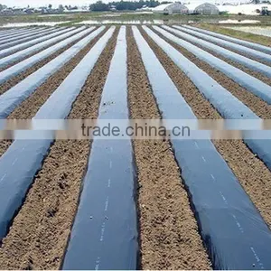 Agricultural Plastic Black Builders Mulch Film thumbnail-3