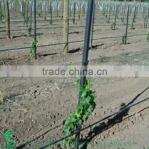 Living Wall Support Stake thumbnail-3