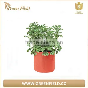 High Quality Breathable Black Garden Vegetables Flower Grow Bag thumbnail-2