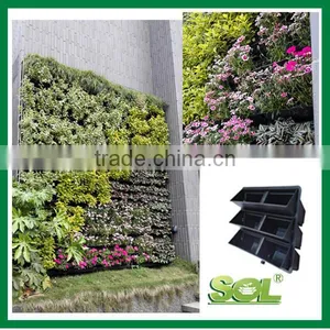 Green Wall Flower Pots thumbnail-5