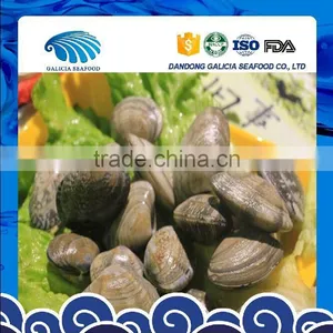 Frozen Vacuumed Baby Clam Cheap Pirce For Sale thumbnail-1