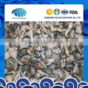 Frozen Cooked Shellfish Type Variegated Clam thumbnail-1