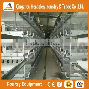 Heracles Best Design Durable Automatic H Type Battery Layer Chicken Cage thumbnail-1