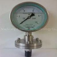 Diaphragm-seal Pressure Gauge thumbnail-1