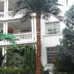 New Natural Design High Artificial Palm Tree With True Palm Tree Bark thumbnail-4