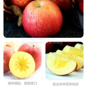 Apple thumbnail-1