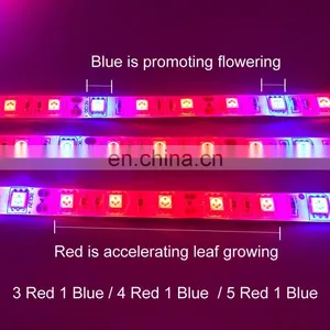 DC12V LED Plant Grow Light Full Spectrum LED Strip Light SMD 5050 Chip For Greenhouse Hydroponic Plant thumbnail-4