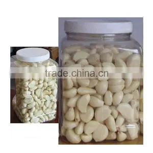 Peeled Garlic thumbnail-1