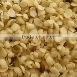 Hemp Nut thumbnail-2