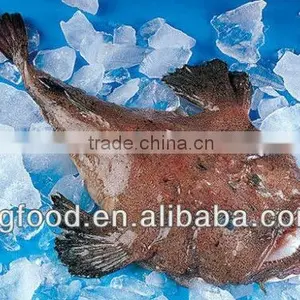 Freezing Anglerfish thumbnail-1