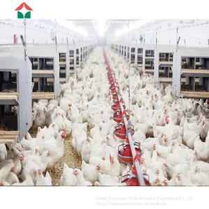 Chicken House Designs for Small Scale thumbnail-1