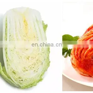Hot Sell Kimchi Pickles Making Machine thumbnail-5