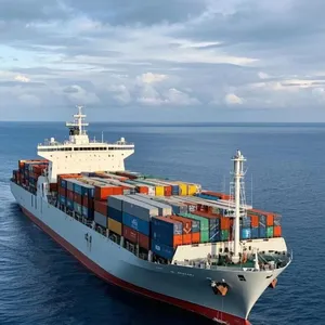 International Cargo, Customs Clearance thumbnail-1