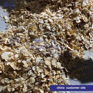 Gas Conveyor Belt Dryer Food Waste Soybean Residue Apple Pomace Fruit Dregs Dryer Machine EPC thumbnail-3