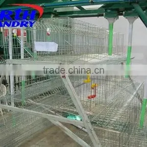 Feeding Equipment for Poultry thumbnail-1