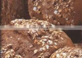 Rich Grain Bread Premix & Mix thumbnail-1