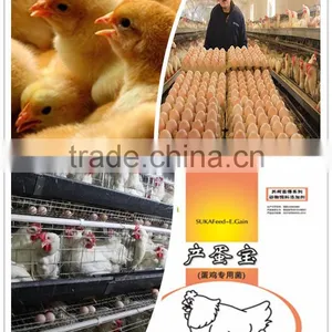 SUKAFEED Biological Probiotics , Deodorization for Henhouse thumbnail-1