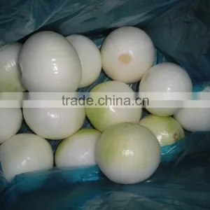 Looking for a Long Term Customer High Quality Fresh Onion Manufacturer From China thumbnail-1