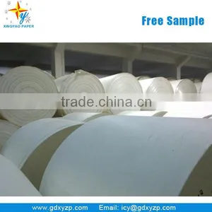 Food Grade PE Coated Paper Roll Paperboard as Food Wrapping Paper thumbnail-6