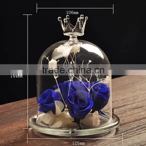 Wholesale Decorative Glass Dome With Base Made in China thumbnail-2
