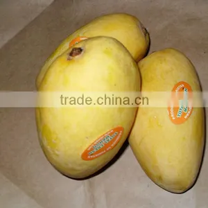 Fresh Mango From Pakistan Mango thumbnail-6
