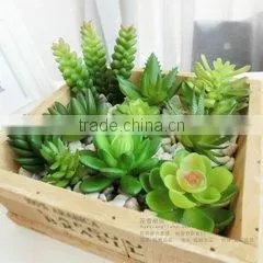 China Factory Direct Artificial Bonsai Succulents Plant Potted Palnt for Table Decortaion Home Decoration thumbnail-1
