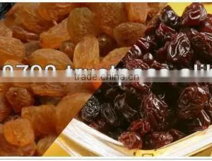 Raisins thumbnail-1