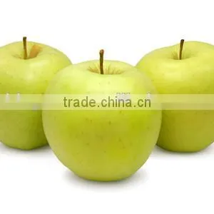 We Are Supply Fresh Golden Delicious With Best Prices for Sale thumbnail-6