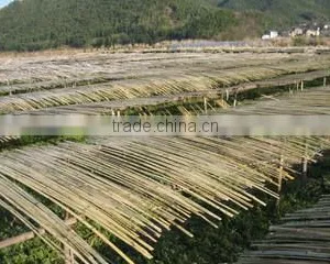 Ningbo Yusheng Bamboo And Wooden I/E Co., Ltd. company overview - view 1 thumbnail