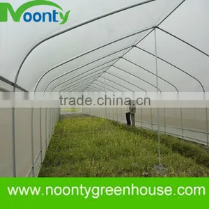 Hydroponics Grow Tent thumbnail-1