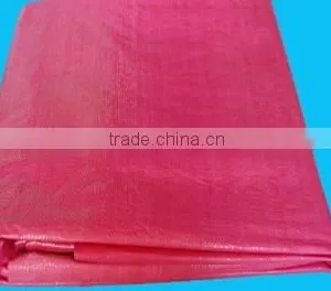 Yard Tarp for Yard Clean-up Cover pe Tarpaulin thumbnail-2