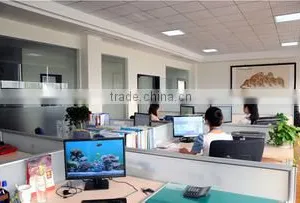 Yueqing XiangLang Electric Co., Ltd. company overview - view 2 thumbnail