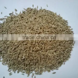 Best Quality 99% Purity Cumin Seeds From India thumbnail-5