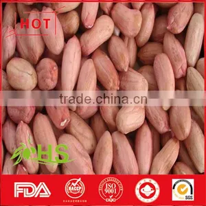 Round/long Size Red Skin Peanut Kernel thumbnail-5