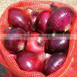 RED ONION WITH HIGH QUALITY thumbnail-1