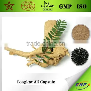 Kosher&GMP BNP Supply Tongkat Ali Capsule (tongkat Ali Extract) thumbnail-1