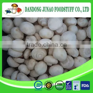 Greenhouse Advanced Production Cultivation Greenhouses for Mushroom thumbnail-1