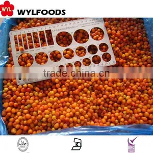 IQF China Price for Frozen Sea Buckthorn High Quality thumbnail-3