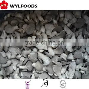 2015 New Price Frozen Oyster Mushrooms thumbnail-6
