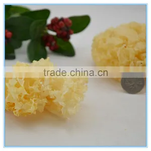 Chinese Tremella Fuciformis Jelly Fungus thumbnail-1