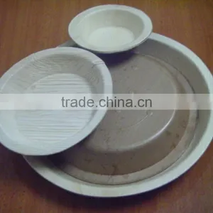Natural Areca Leaf Disposable Plates Supply to Australia thumbnail-4