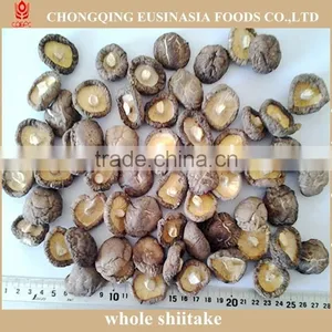 Shiitake Mushroom thumbnail-2