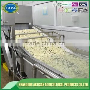 Fresh Peeled Garlic Bulk, Export to Europe thumbnail-5