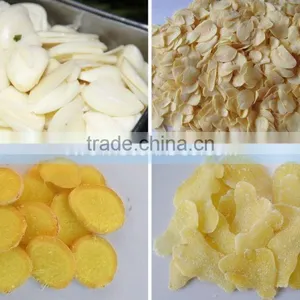 Hot Sale Ginger Garlic Slicer - 200 Kg / H, TT-SLC200 for Ginger Garlic Slicer thumbnail-2