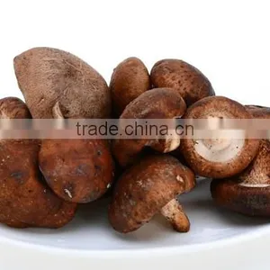 Hot Sale Log White Flower Mushroom / Dry Shiitake /hot Sale Dried Mushroom thumbnail-5