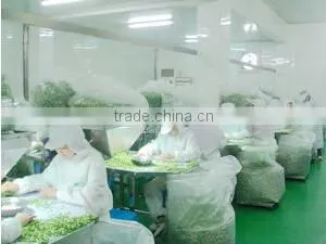 Xinghua Hongsheng Foods Co., Ltd. company overview - view 3 thumbnail