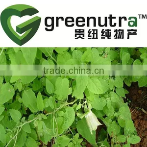 Pilose Asiabell Root Extract thumbnail-1